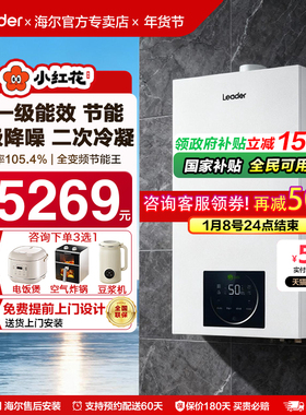 国补海尔壁挂炉天然气家用一级节能统帅燃气采暖锅炉热水两用LD3