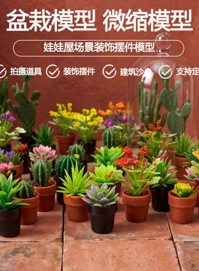 3d打印1:12娃屋微缩仿真迷你盆栽模型仙人掌绿植场景装饰摆件配件