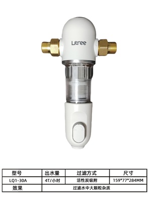 前置净水器全铜家用反冲洗刮洗全屋净水P1LQ1-10BLQ1-30A