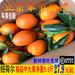 橙子正宗重庆奉节脐橙纽荷尔长虹当季新鲜水果精品果送礼直