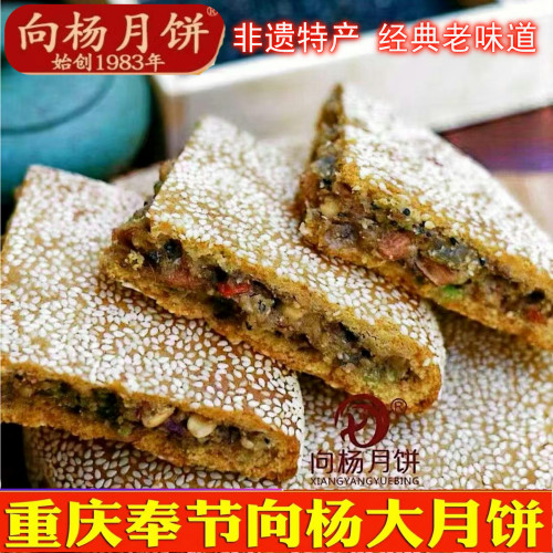 正宗重庆奉节特产向杨月饼传统老式中秋大土月饼核桃五仁礼盒送礼