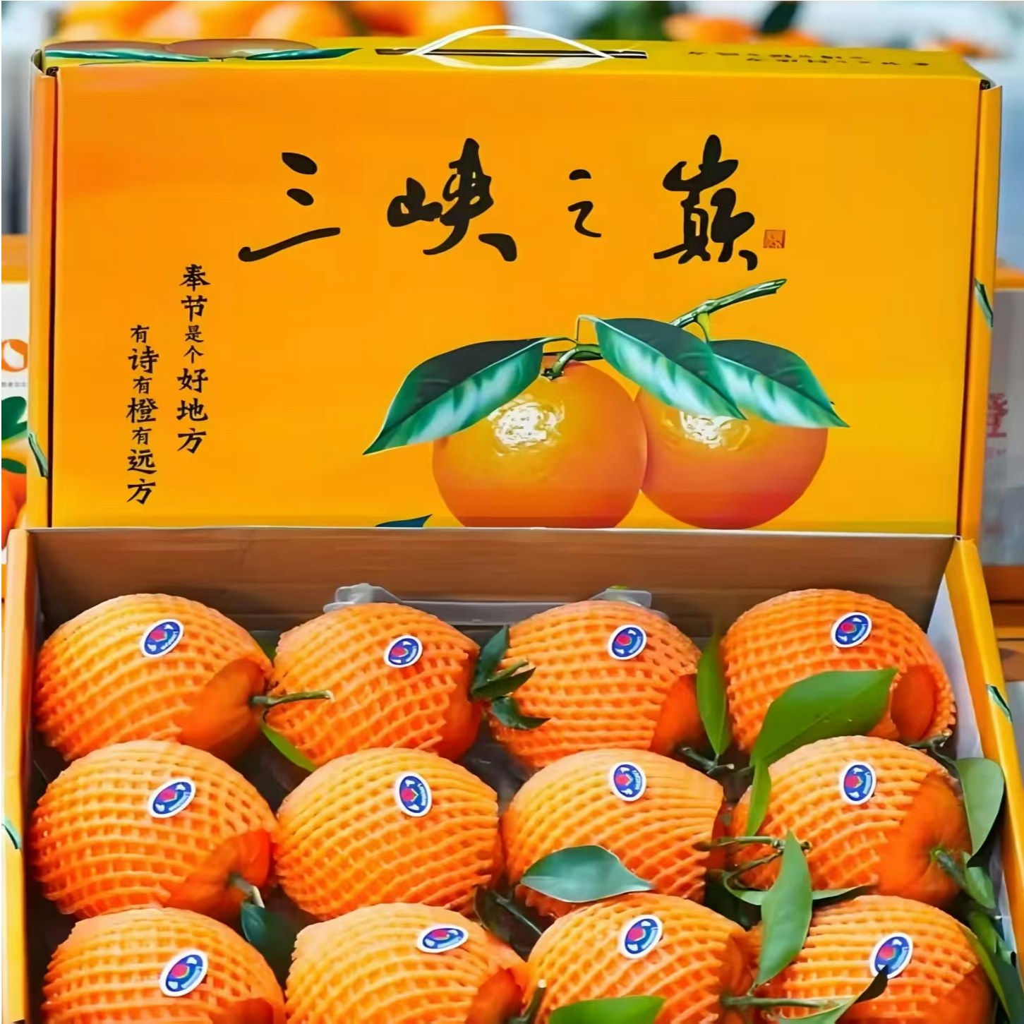 【精美礼盒】正宗奉节脐橙精品12枚新鲜水果香甜多汁现摘现发送礼