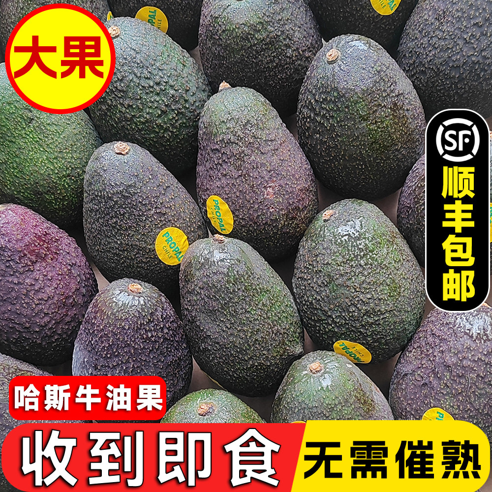 整箱即食熟牛油果免催熟进口牛油果哈斯新鲜水果鳄梨批发12个,水产肉类/新鲜蔬果/熟食,牛油果,淘宝优惠券,粉丝福利购,淘宝优惠卷