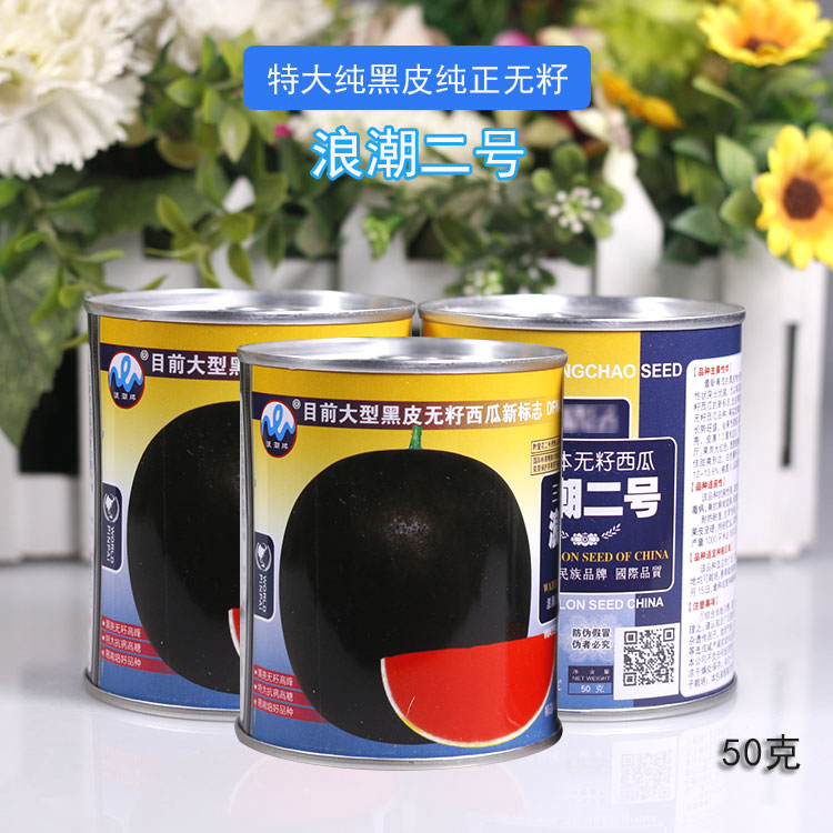 浪潮二号黑皮无籽西瓜种子浪潮四号花皮红瓤高产无籽瓜三倍体四季