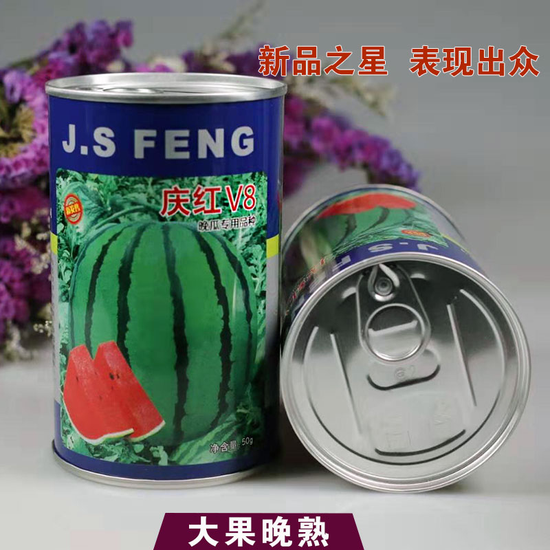 庆红西瓜种子庆红V8中晚熟大果型高产大红瓤东北大地雷超甜皮薄