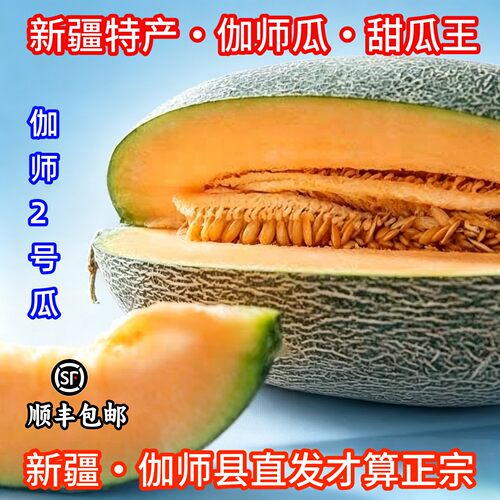 正宗新疆伽师瓜产地直发顺丰包邮