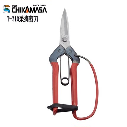 日本原装进口大嘴鸟近正T-710采摘剪刀稀花剪果阳光玫瑰葡萄剪切
