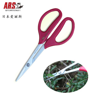 盆景多肉修理剪爱丽斯380长柄小枝剪进口花店插花造型花艺剪稀果