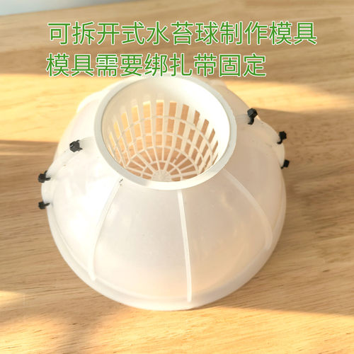 鹿角蕨上板水苔球制作工具神器