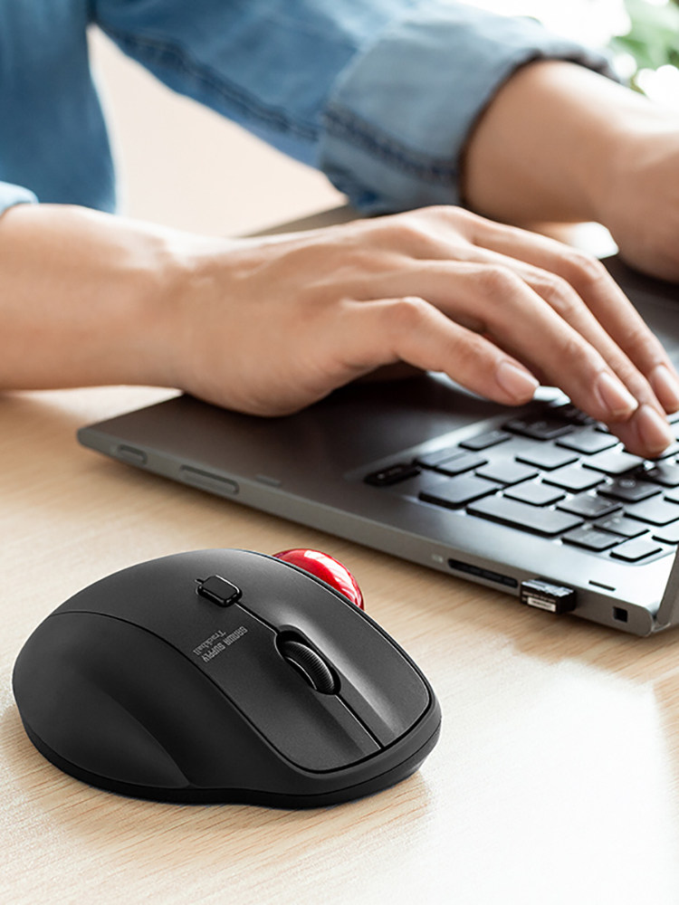 일본 산와 인체공학적 트랙볼 마우스 유선|무선 마우스|블루투스 아트 디자인 CAD 도면