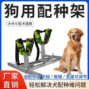 狗狗配种架配狗架子金毛打针输液配种大中小型犬固定架犬用配种架