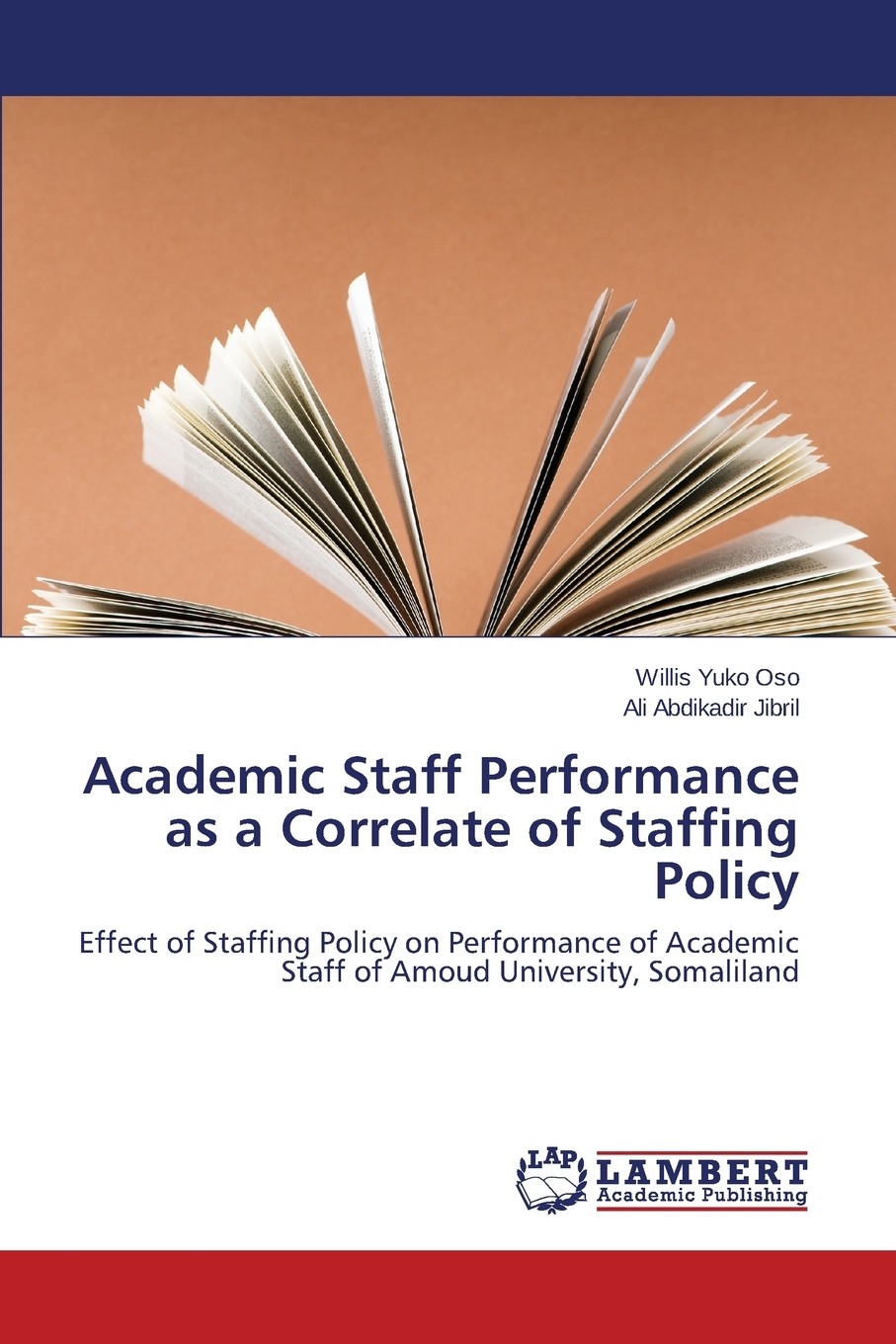 【预售按需印刷】Academic Staff Performance as a Correlate of Staffing Policy