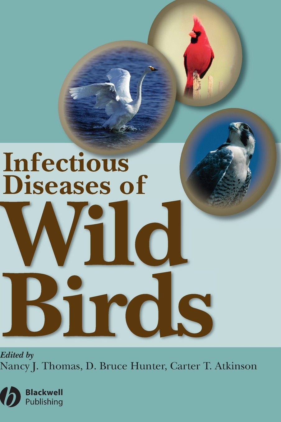 【预售 按需印刷】infectious diseases of wild bi