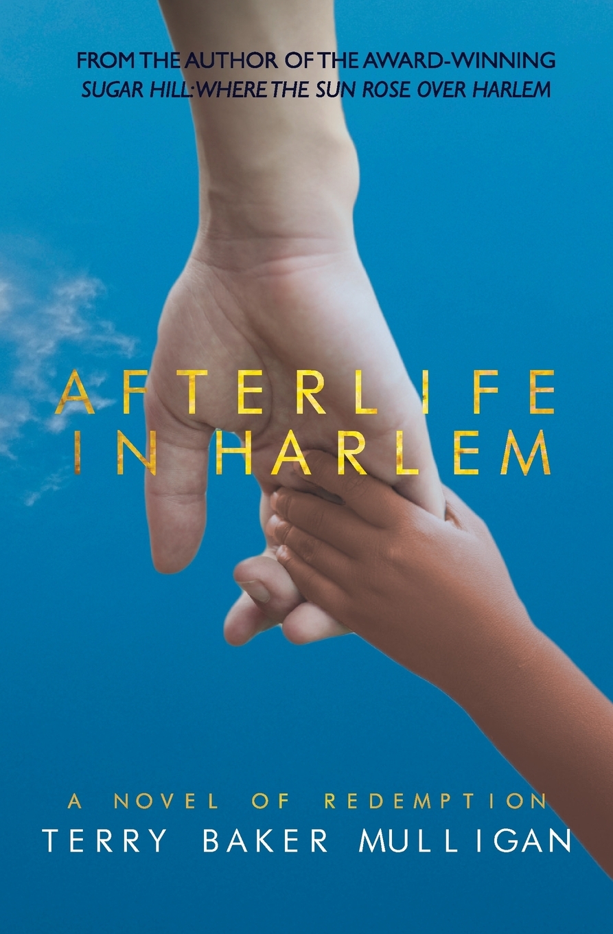 预售按需印刷 Afterlife in Harlem