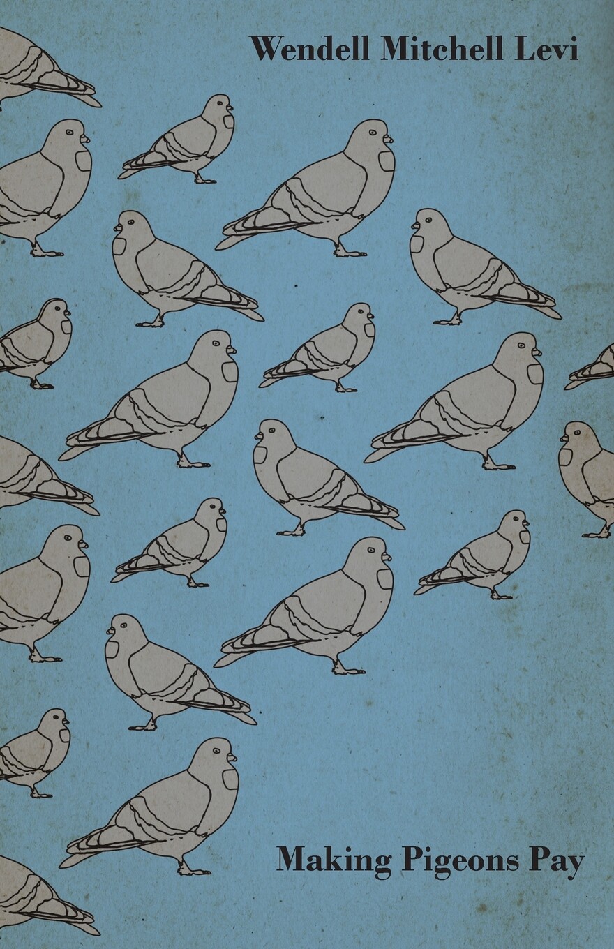 【预售 按需印刷】Making Pigeons Pay - A Manual of Practical Information on the Management  Selection  Breeding  Feedi高性价比高么？