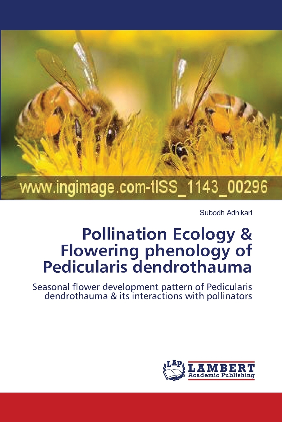 【预售 按需印刷】Pollination Ecology & Flowering phenology of Pedicularis dendrothauma 书籍/杂志/报纸 科普读物/自然科学/技术类原版书 原图主图