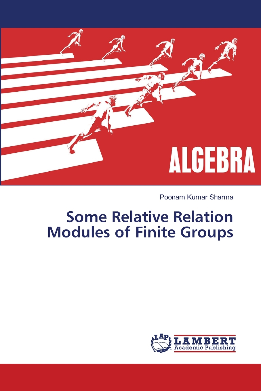 【预售按需印刷】Some Relative Relation Modules of Finite Groups