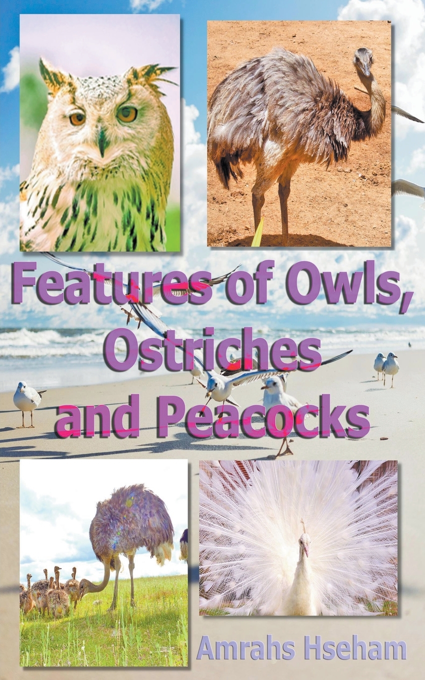 预售按需印刷 Features of Owls Ostriches and Peacocks