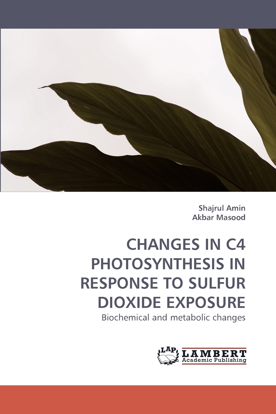 【预售按需印刷】Changes in C4 Photosynthesis in Response to Sulfur Dioxide Exposure-封面