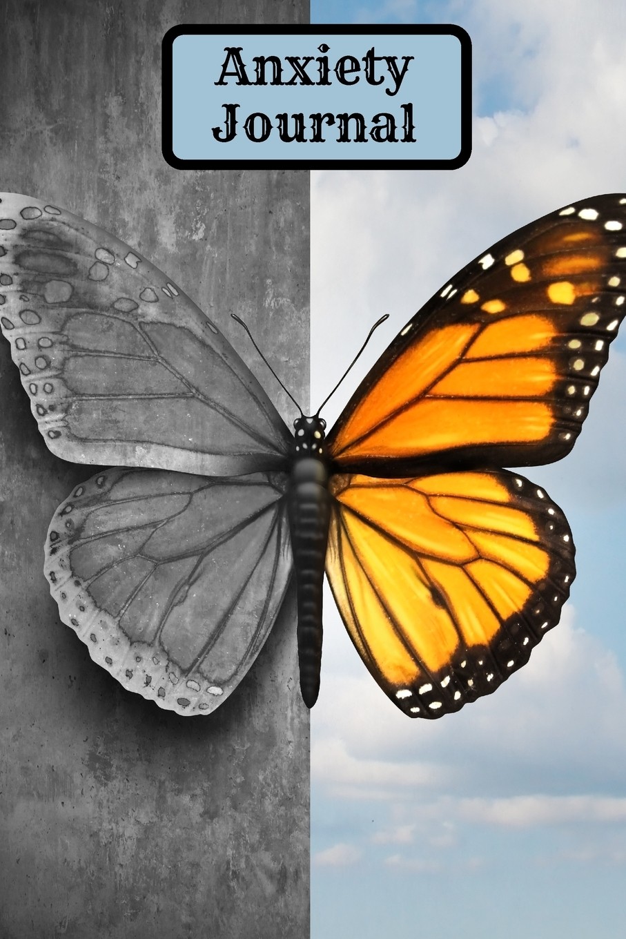【预售 按需印刷】anxiety tracker for teens and adults