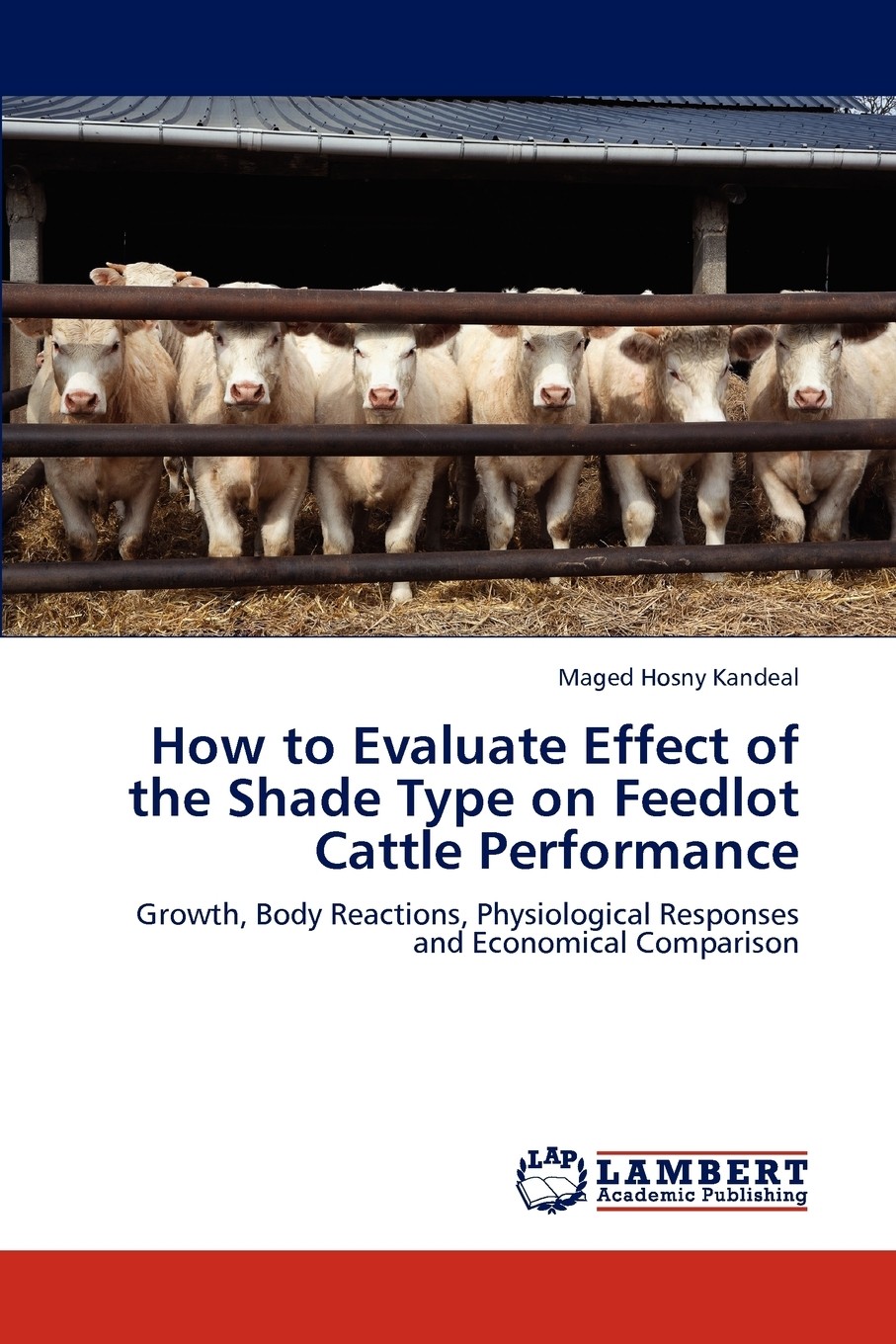 【预售 按需印刷】how to evaluate effect of the shade type on