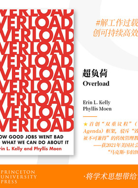 预售 Overload 超负荷