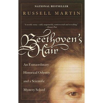 Beethovens Hair企鹅兰登 英文原版