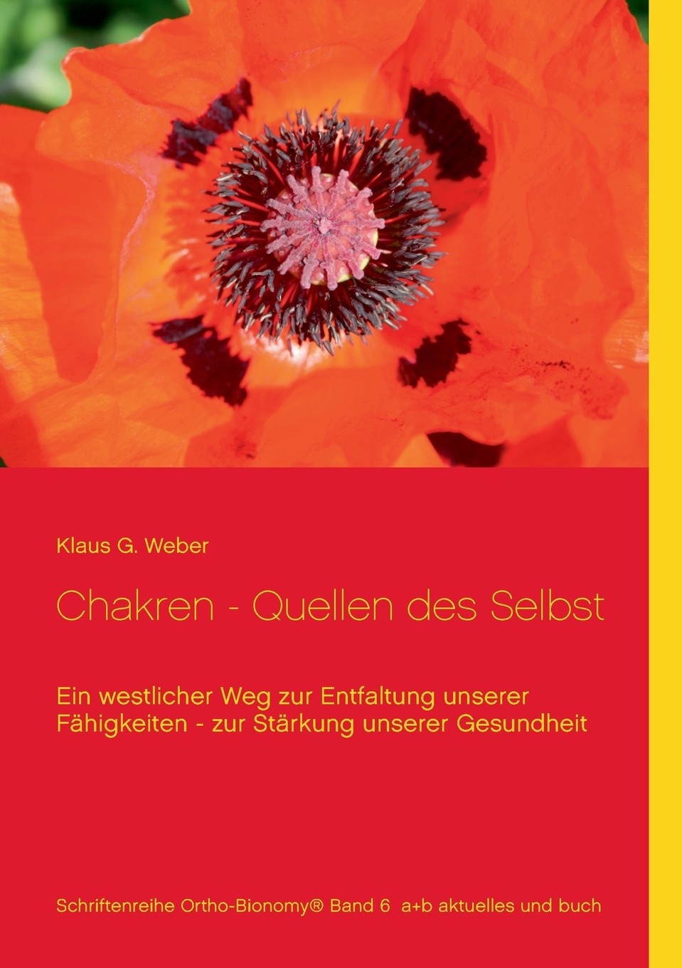 预售 按需印刷chakren - quellen des selbst德语ger