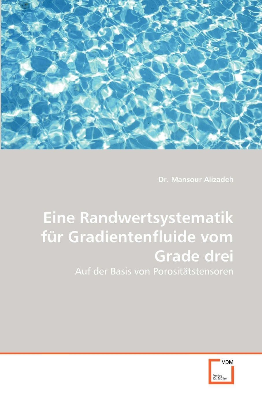 预售 按需印刷eine randwertsystematik für gradientenfluide vom