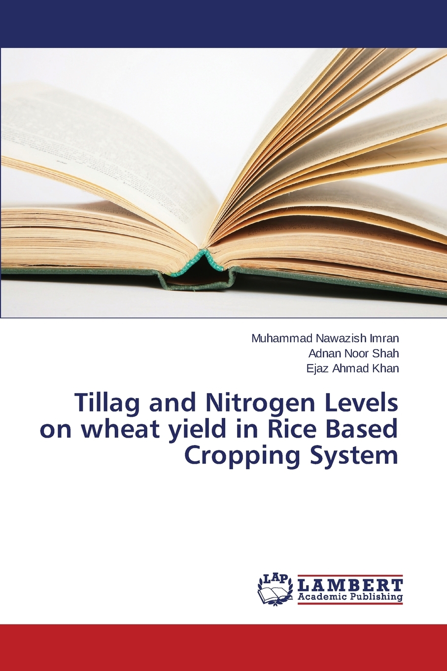 预售 按需印刷 Tillag and Nitrogen Levels on wheat yield in Rice Based Cropping System 书籍/杂志/报纸 科普读物/自然科学/技术类原版书 原图主图