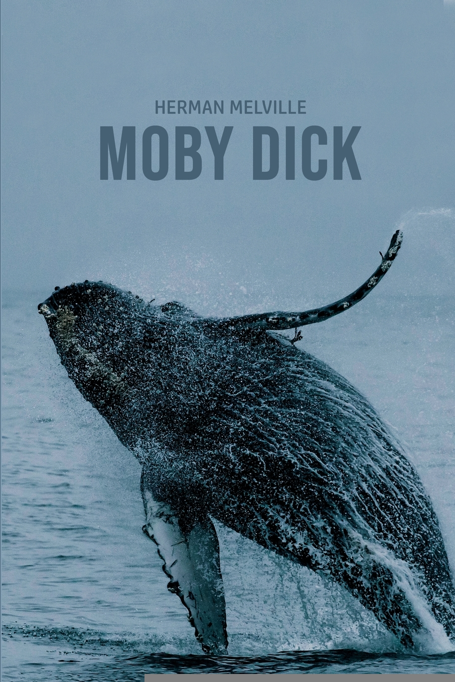 【预售 按需印刷】Moby Dick or  The Whale 书籍/杂志/报纸 文学小说类原版书 原图主图