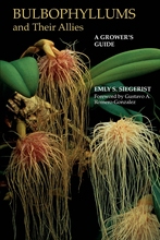 【预售 按需印刷】Bulbophyllums and Their Allies