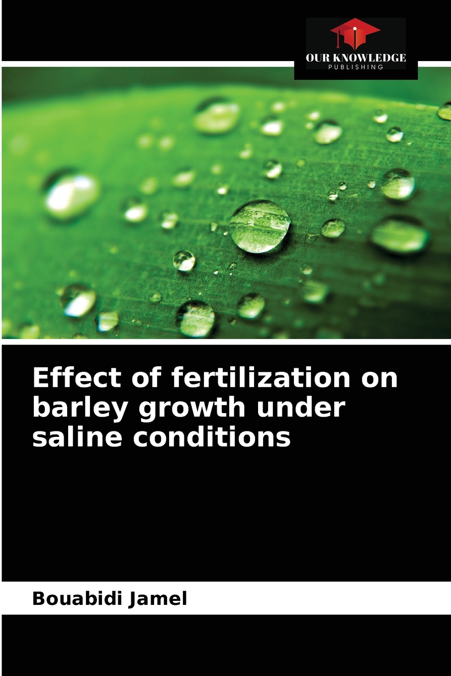 【预售按需印刷】Effect of fertilization on barley growth under saline conditions