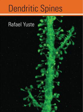 Dendritic Spines企鹅兰登 英文原版
