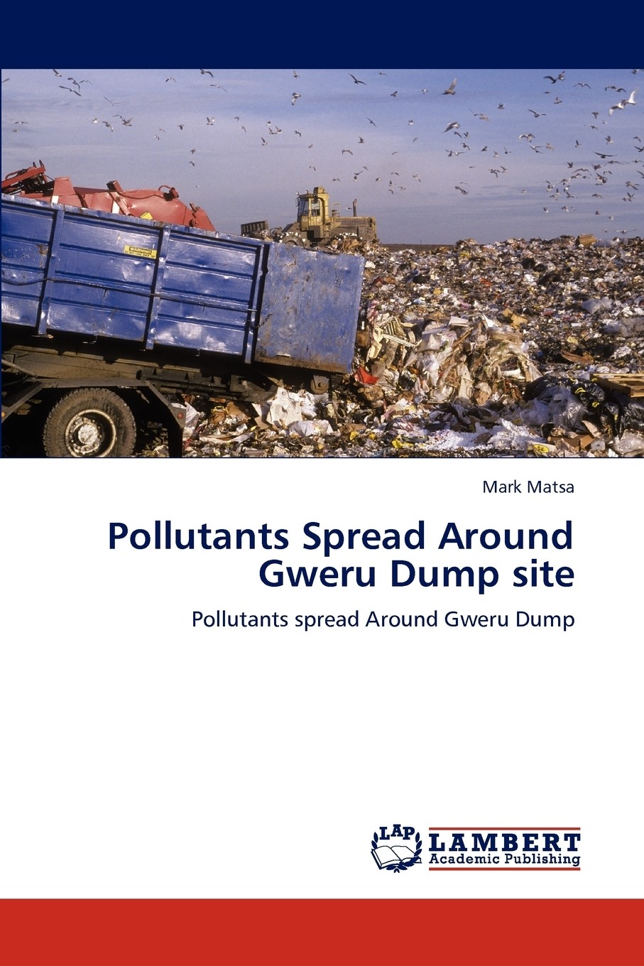 【预售 按需印刷】pollutants spread around gweru dump site