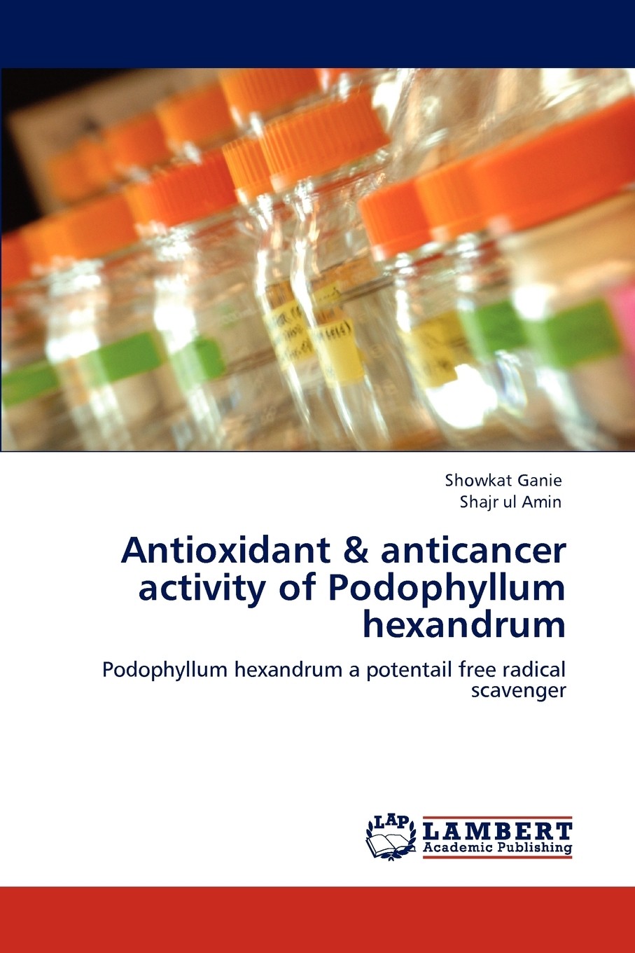 【预售 按需印刷】antioxidant & anticancer activity of