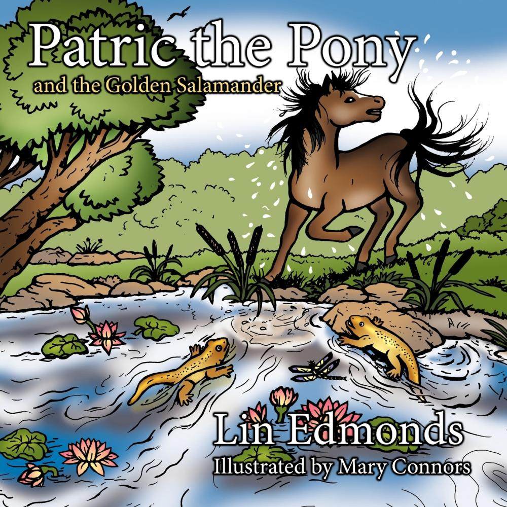 【预售 按需印刷】patric the pony and the golden salamander