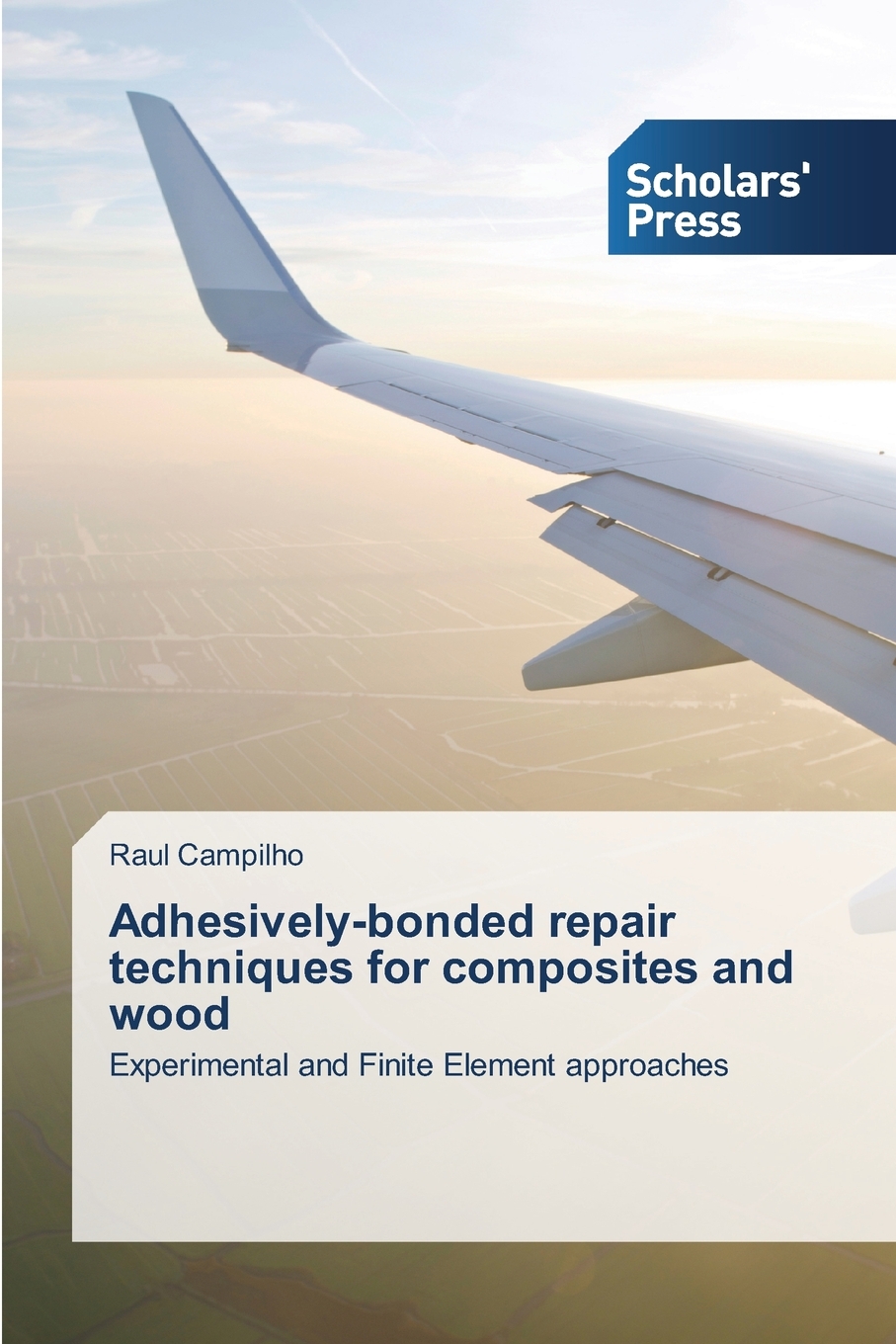 预售按需印刷 Adhesively-bonded repair techniques for composites and wood