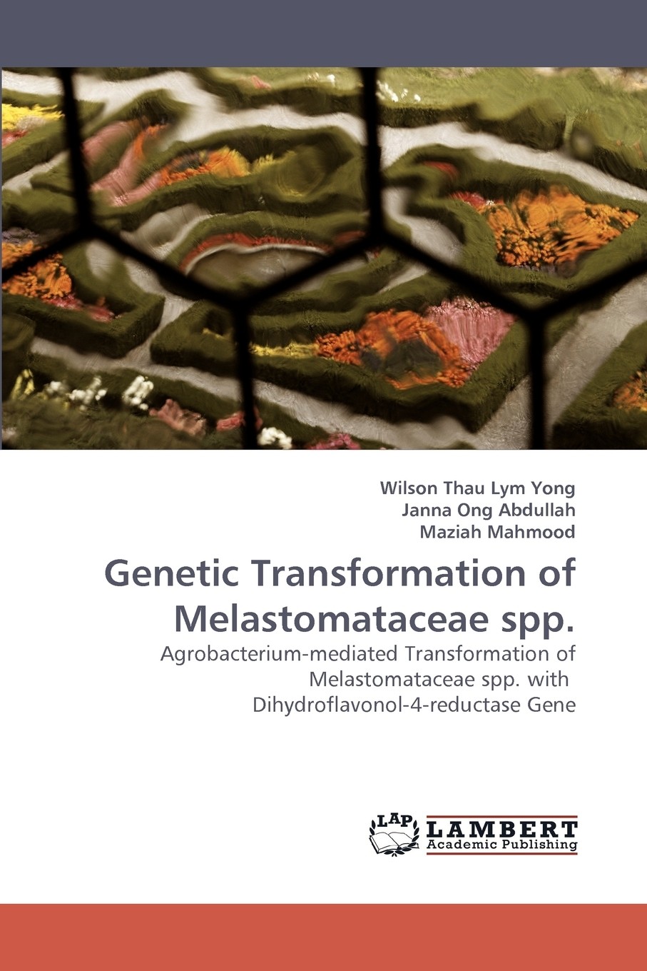 【预售 按需印刷】genetic transformation of melastomataceae spp.