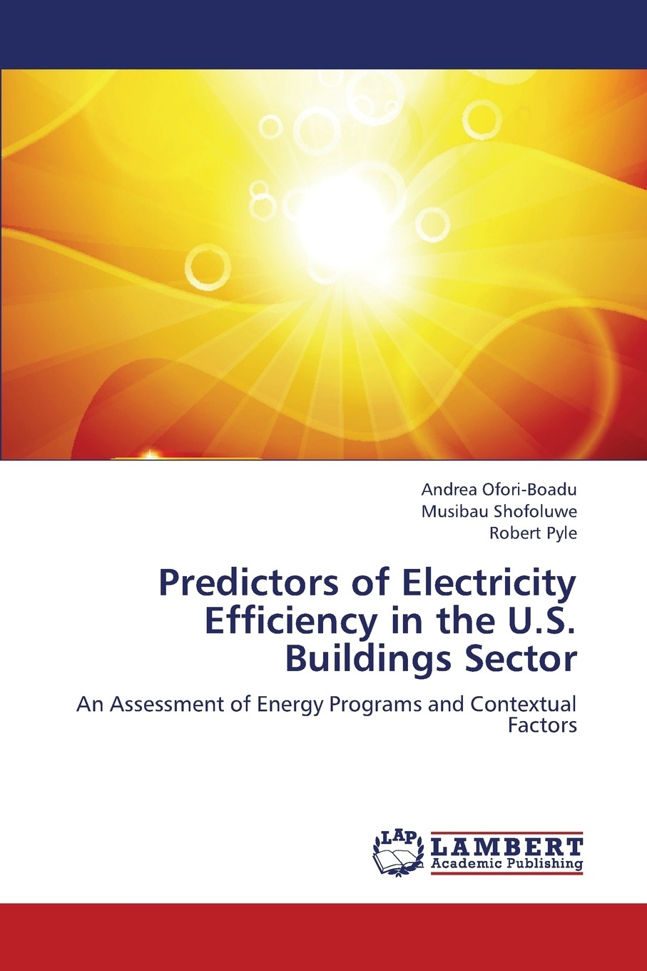 【预售 按需印刷】predictors of electricity efficiency in the u.