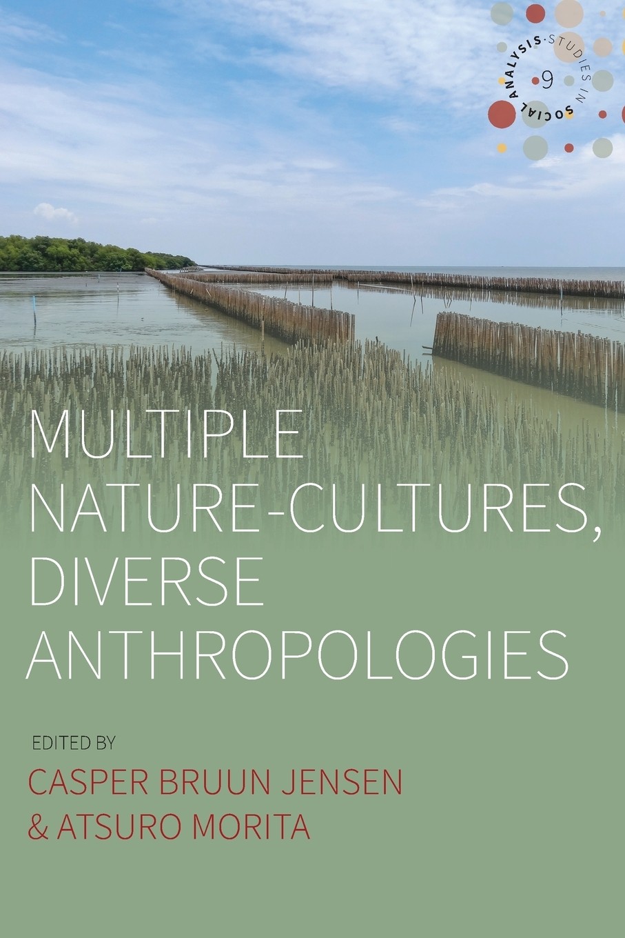 【预售 按需印刷】multiple nature-cultures  diverse anthropologie