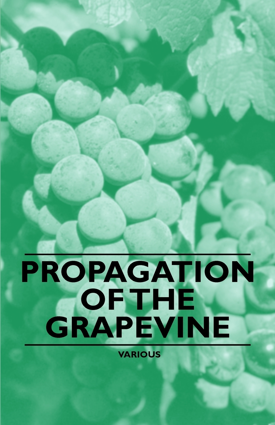 【预售按需印刷】Propagation of the Grapevine