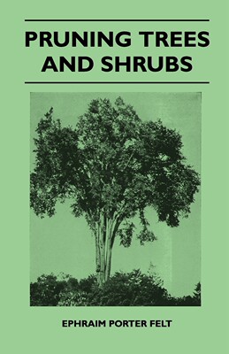 【预售 按需印刷】Pruning Trees And Shrubs