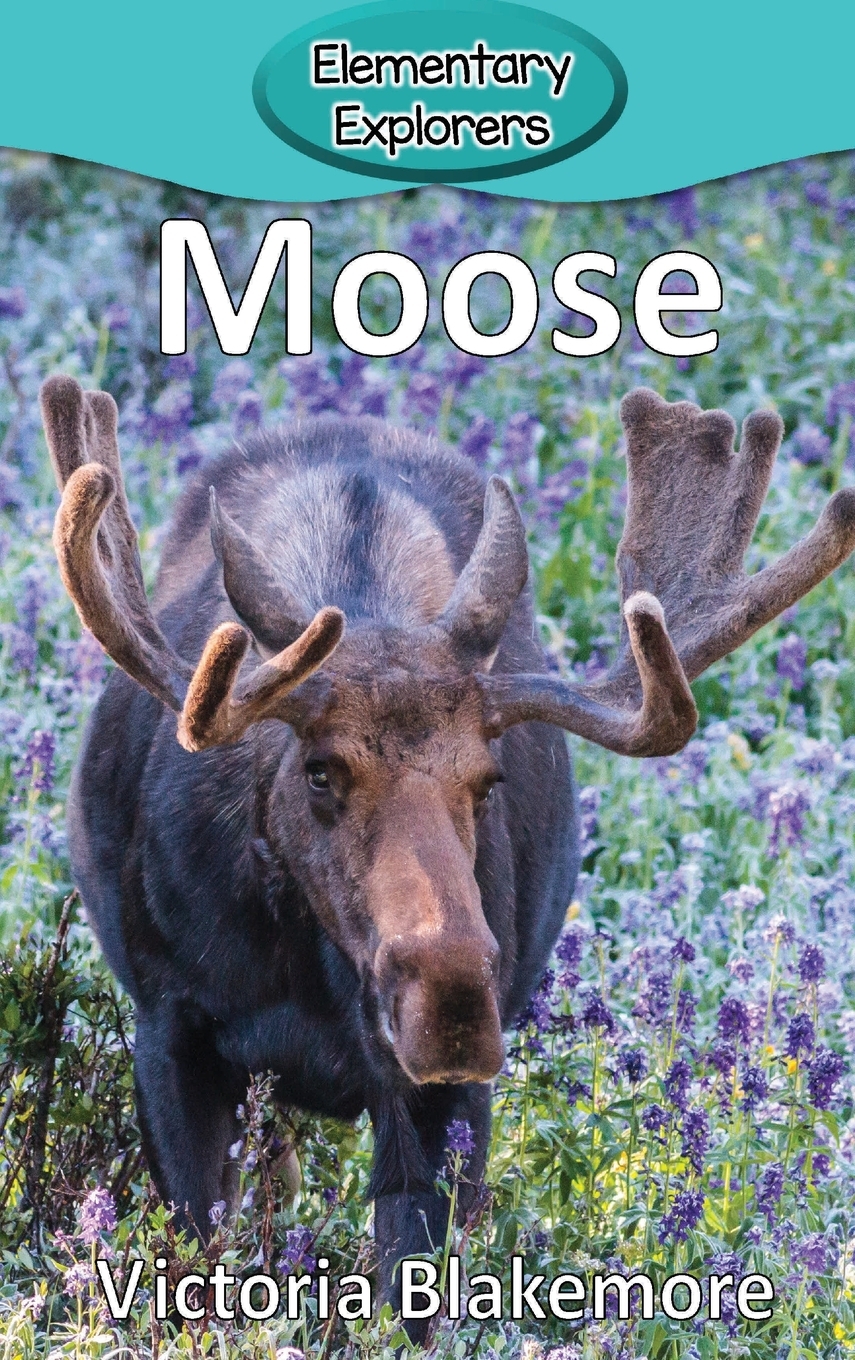 【预售 按需印刷】moose