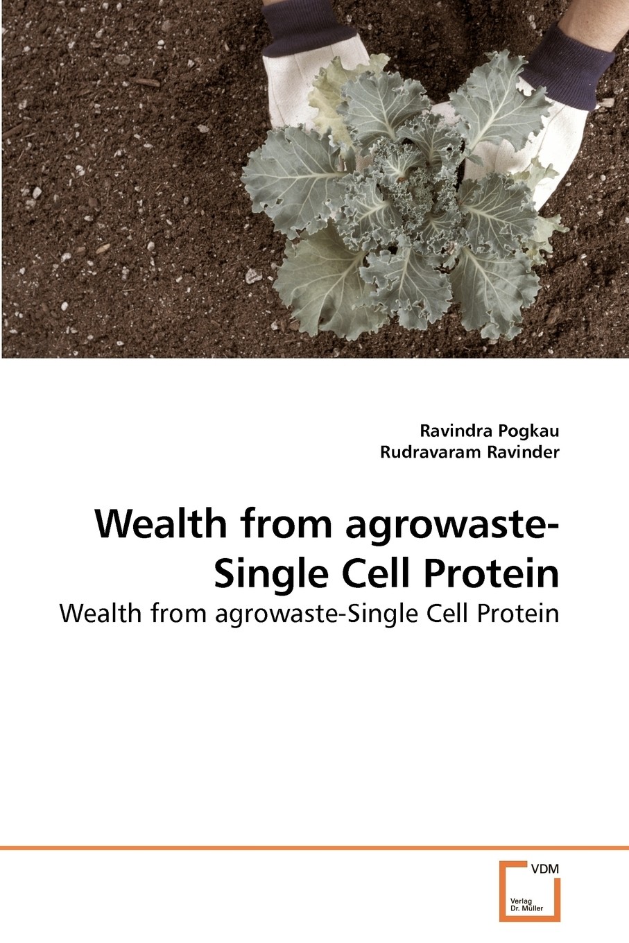 【预售 按需印刷】wealth from agrowaste-single cell protein