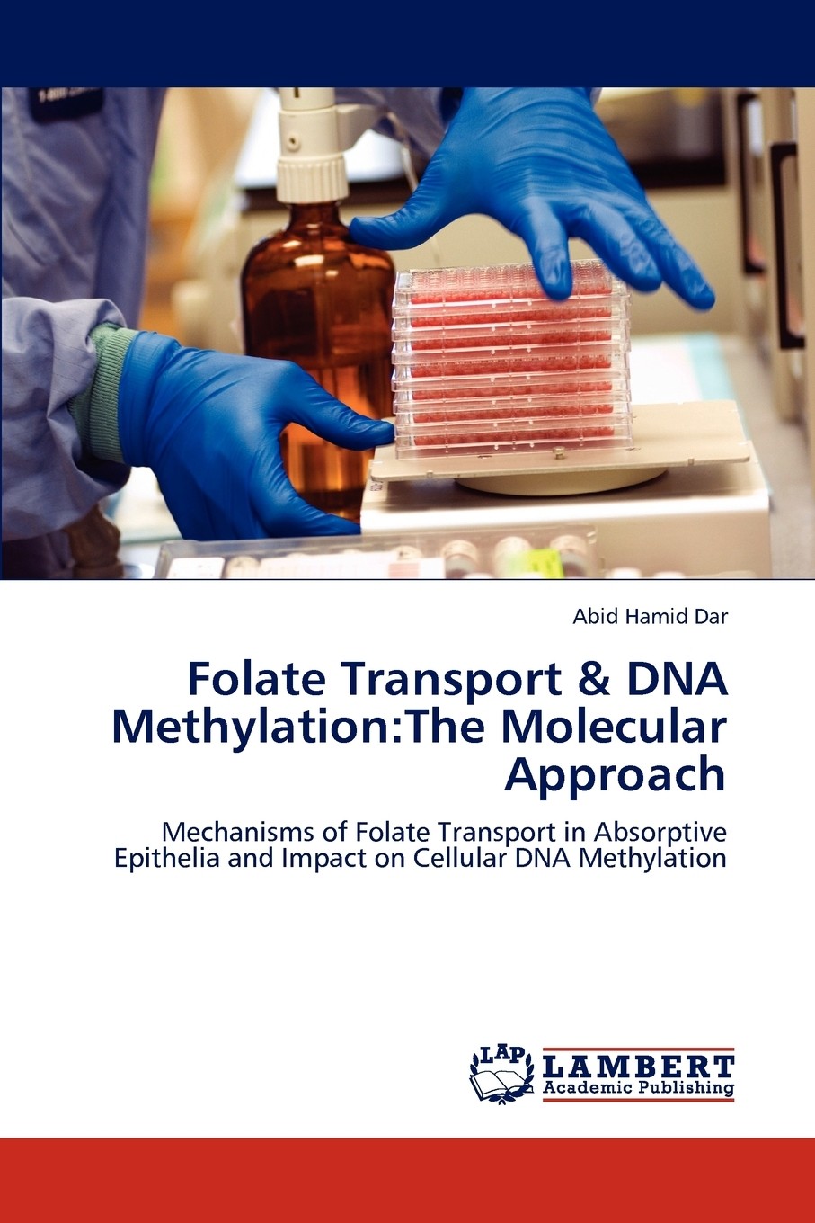 【预售 按需印刷】folate transport & dna methylation