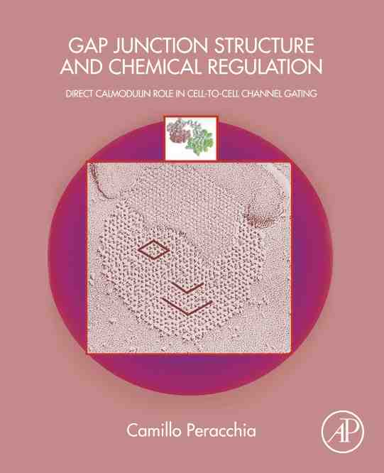 预售按需印刷 Gap Junction Structure and Chemical Regulation