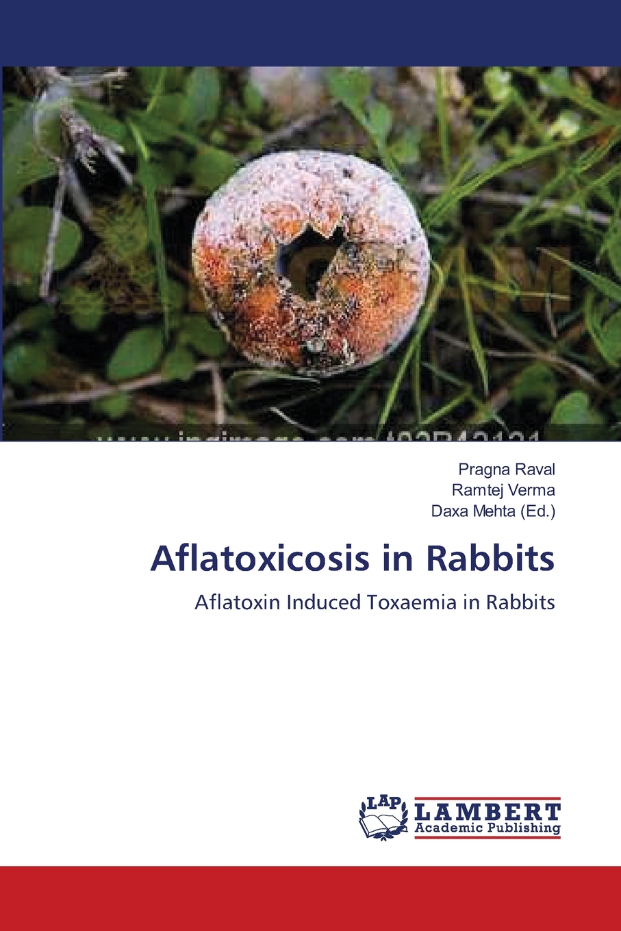 预售 按需印刷 Aflatoxicosis in Rabbits 书籍/杂志/报纸 科普读物/自然科学/技术类原版书 原图主图