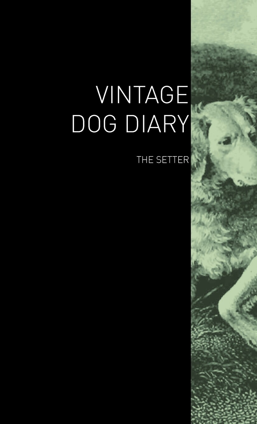 【预售 按需印刷】the vintage dog diary - the setter