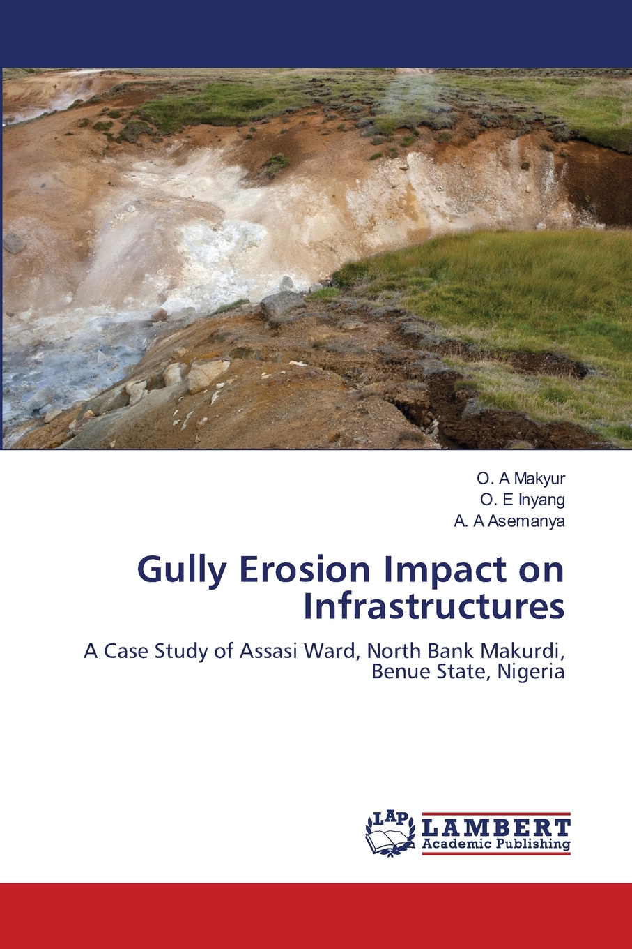 【预售按需印刷】Gully Erosion Impact on Infrastructures